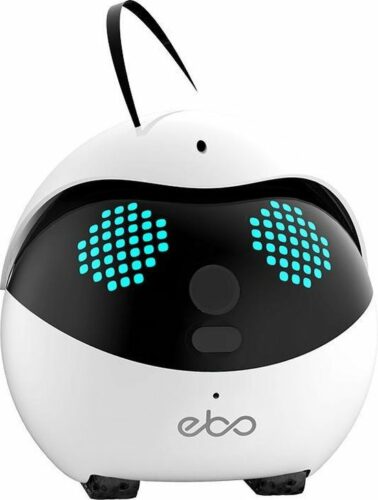 Ebo companion robot